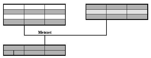 ábra: A metszet szemléltetése 1.3. Az adatbázis adatmodellje A feladat során a következő egyedek és tulajdonságok adatai voltak szükségesek.