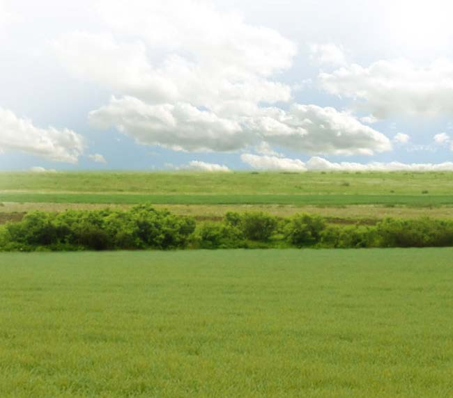 000l-től, 20.