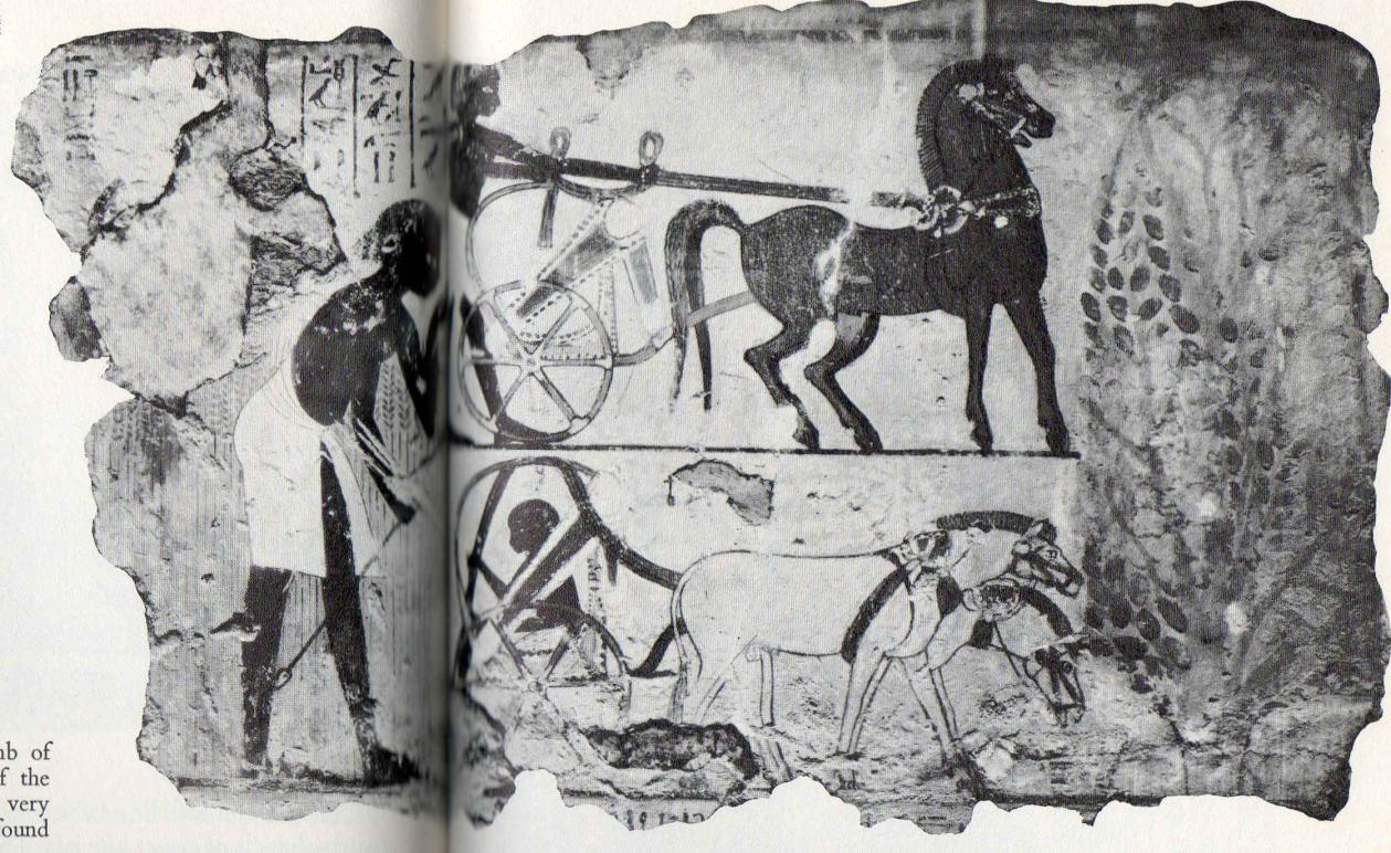 33 25. Tut-Auch-Amon sírjából, Kr. e.