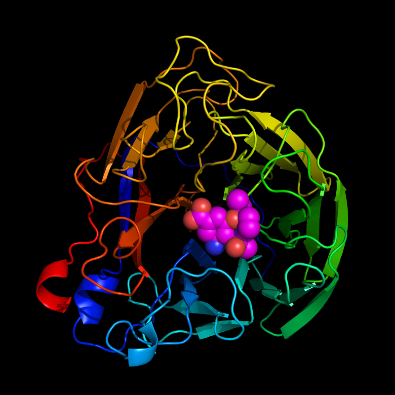 Fehérje szerkezet, és feltekeredés gyakorlati jelentősége Nem megfelelően feltekeredett (misfolded) proteinek Prion: