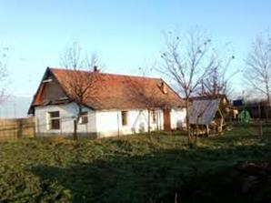 Főbb témák 1.