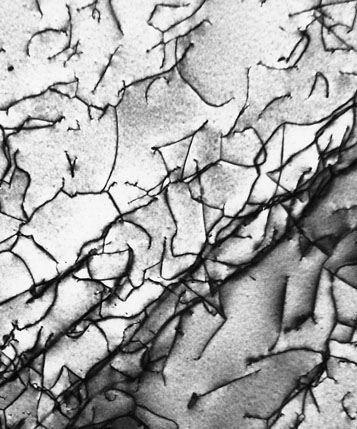 Transzmissziós elektron mikroszkóp felvétel egy titán ötvözetről. A sötét vonalak diszlokációk.