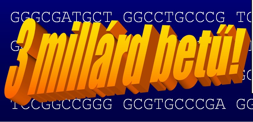 A Humán Genom Projekt: 1989-2003 GTCCGGTCCC GGGACCCCCT GCCCAGGGTC AGAGGGGCGC CTACCTAGCT CACGGTCTTG Humán Genom Projekt Hierarchikus módszer GGCCGGAGGG AATGGAGGAG GGAGCGGGGT CGACCGCTCA GCTGTCCGCC