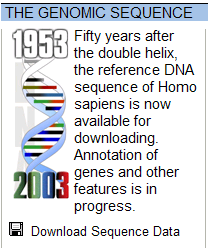 A Humán Genom Projekt eredményei 2001 Első (nyers) genom szekvencia Celera Genomics (privát szektor) Craig Venter HGP (Human Genome Project) Francis