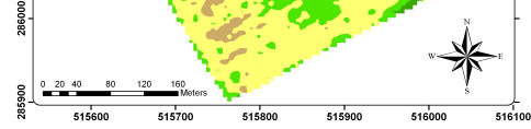 903202,N=4,31,VWC 17.251622,47.