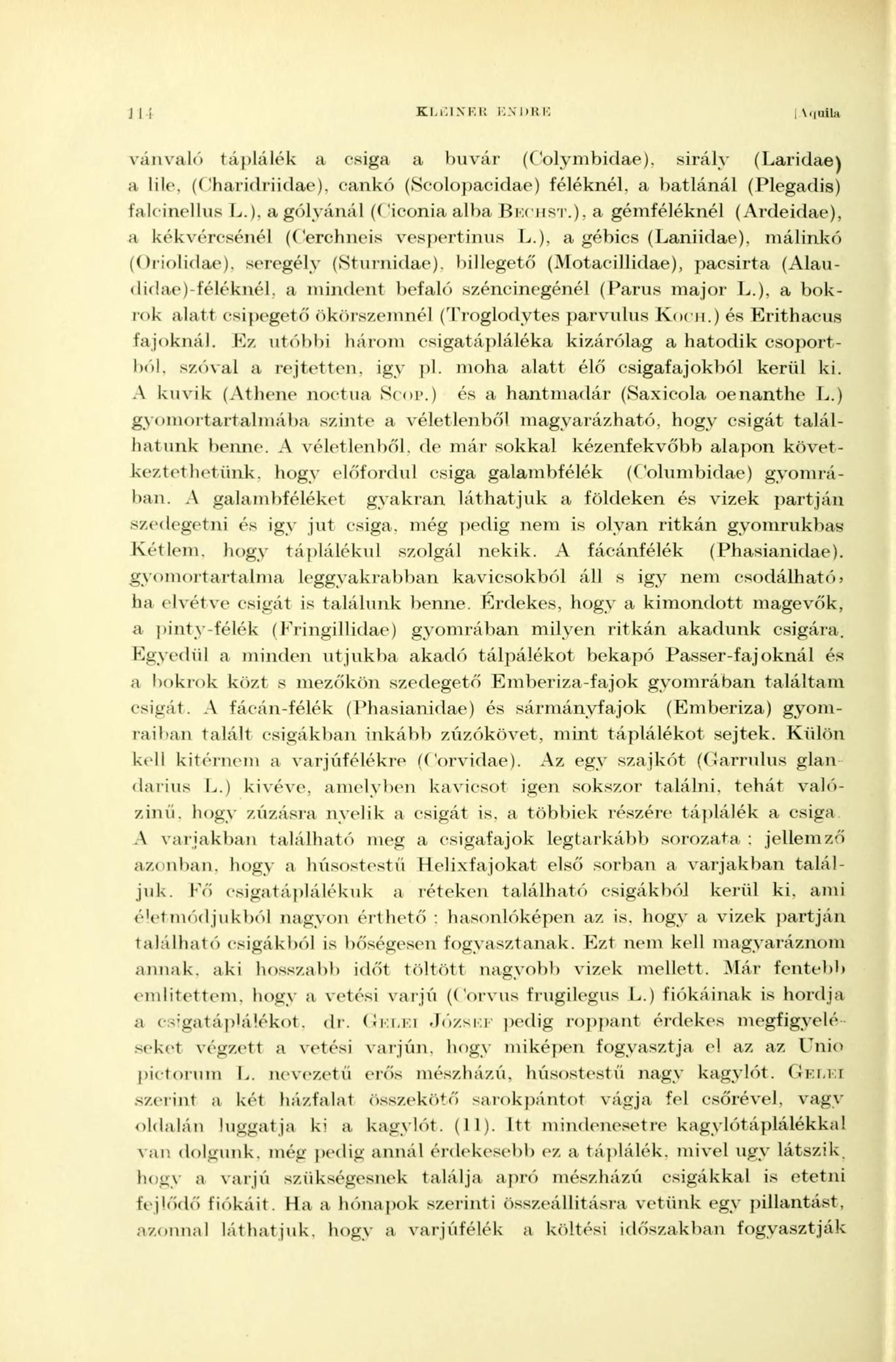 KI.I:IXKI{ I:\DI.K I Vqnila vánvaló táplálék a csiga a búvár (Colymbidae), sirály (Laridae) a lile, (Charidriidae), cankó (Scolopacidae) féléknél, a batlánál (Plegadis) falcinellus L.