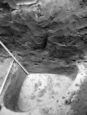 4. kép: Kibontott őskori gödör (SE 91) a Hajós utcában Fig. 4: An excavated prehistoric pit (SE 91) on Hajós Street. feltűnő sűrűsödést mutatott.