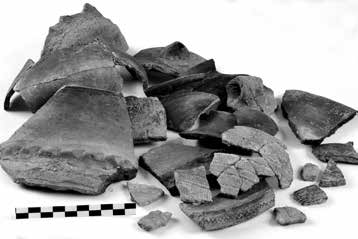 7. kép: Kora bronzkori kerámiatöredékek az SE 56. objektum körüli árokszakaszból Fig.