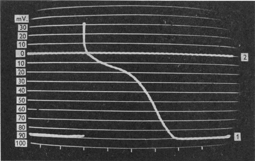 J. Physiol. (I95I) 115, 74-94. Coraboeuf, E. & Weidmann, S. (1949a). C.R. Soc. Biol.