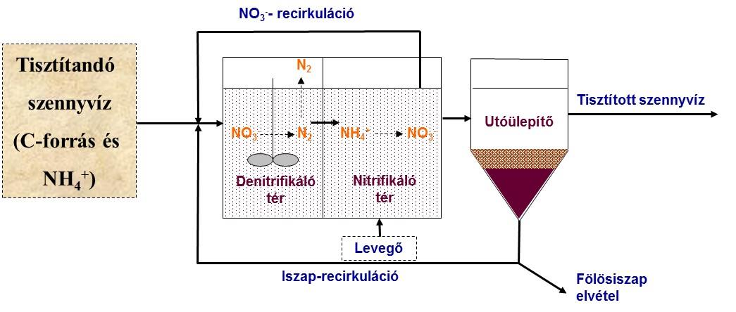 szerint (Ludzack és Ettinger, 1962). A levegőztetett medencében keletkező nitrát az iszap recirkulációval kerül vissza az első anoxikus medencébe. A nitrát visszavezetése fokozható ún.