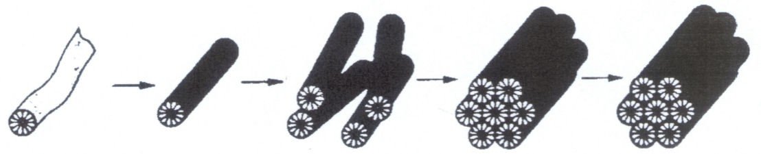 8. ábra Folyadékkristályos templát (LCT) mechanizmus52 Davis és munkatársai szerint a szintézis során nincs jelen folyadékkristály fázis.