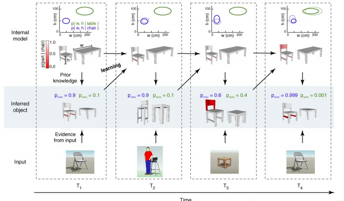 Bayesian brain Máté Lengyel, Gergő