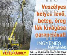 Jogszabályokba ütköző, etikailag