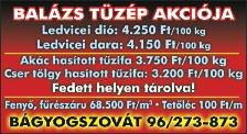 Tel.: 96/260-176 Felelős kiadó: Tárkányi