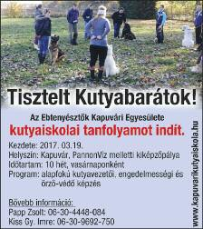 dísznövények, tuják.