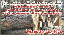 Bõsárkányi út (Csorna