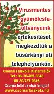 8 Kapuváron városközpontban 39 nmes lakás eladó. 06-20/9380-291 Szárföldön, Erdély utca 5. szám alatt telek eladó. 1540 nm, víz, szennyvíz a telken belül.