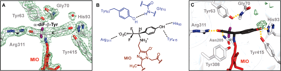 Christianson,CV, et al., J Am Chem Soc. 2007, 129, 15744-15745.