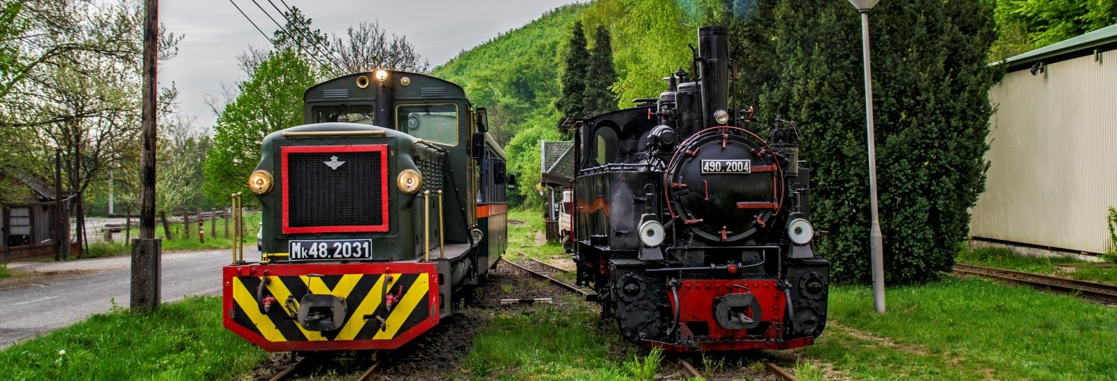 Idén még a Rénszarvas Expressz során változott meg a program, ugyanis a program előzetes jelentkezéshez kötött volt, mivel minden gyermeknek, aki részt vett a programon egy apró mikuláscsomaggal lett