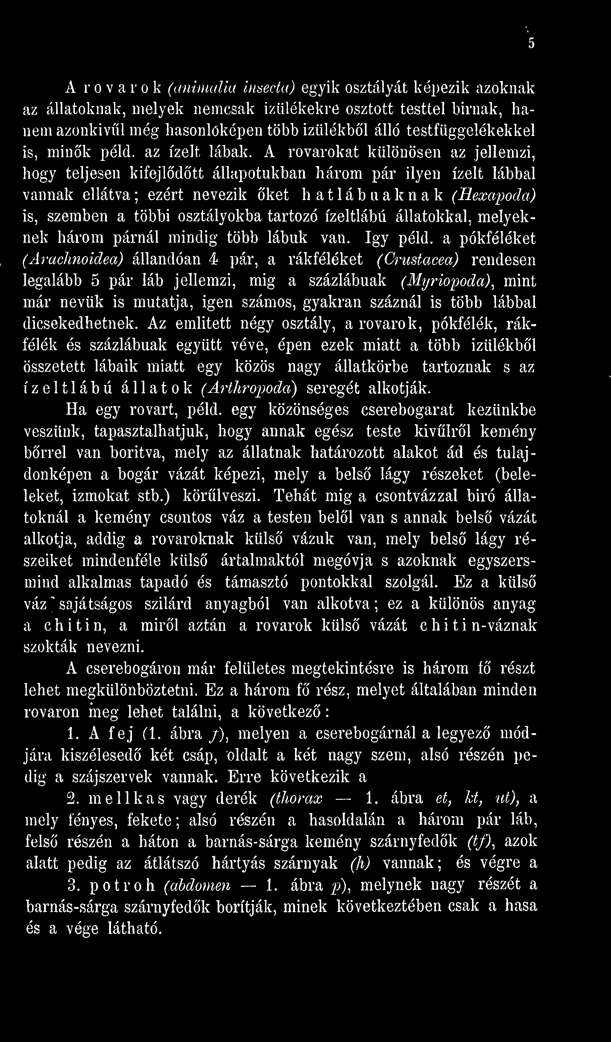 a pókféléket (Arachnoidea) állandóan 4 pár, a rákféléket (Crustacea) rendesen legalább 5 pár láb jellemzi, mig a százlábúak (Myriopoda), mint már nevük is mutatja, igen számos, gyakran száznál is