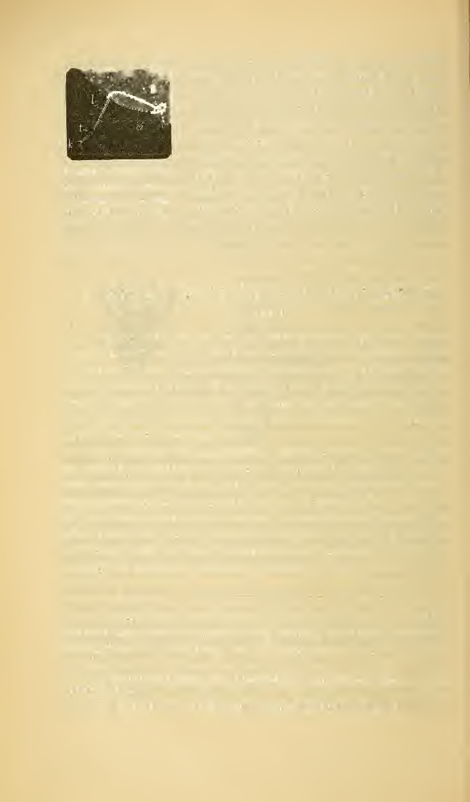 3. ábra. Egy rovarláb : c, csip ; t, tompor; cz\ czomb ; l, lábszár ; ta, boka ; le, barom. <?