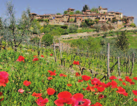 Ezt követôen utazás a középkor Manhattanjébe San Gimignanoba, a tornyok városába. Séta a középkori utcákon, majd a híres tor - nyok tetejérôl élvezhetjük a kilátást a gyönyörû toszkán vidékre. 4.