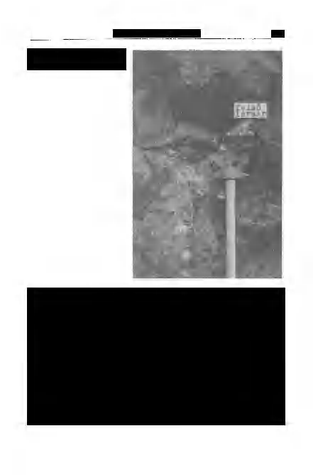 Vörös: A kab-hegyi terület 295 3.