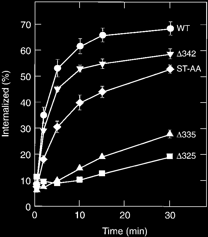 phosphorylation of each receptor (Fig. 3).