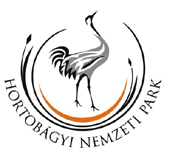 vezető: Prof. Dr. Sabine Tischew Projekt résztvevő: Dr.