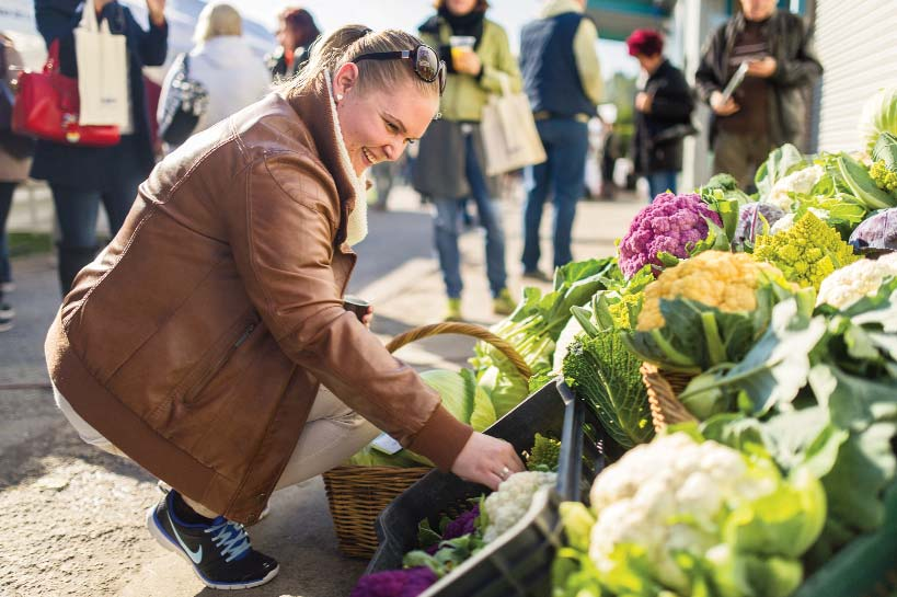 betakarításra sem nagyon találnak kétkezi munkást.