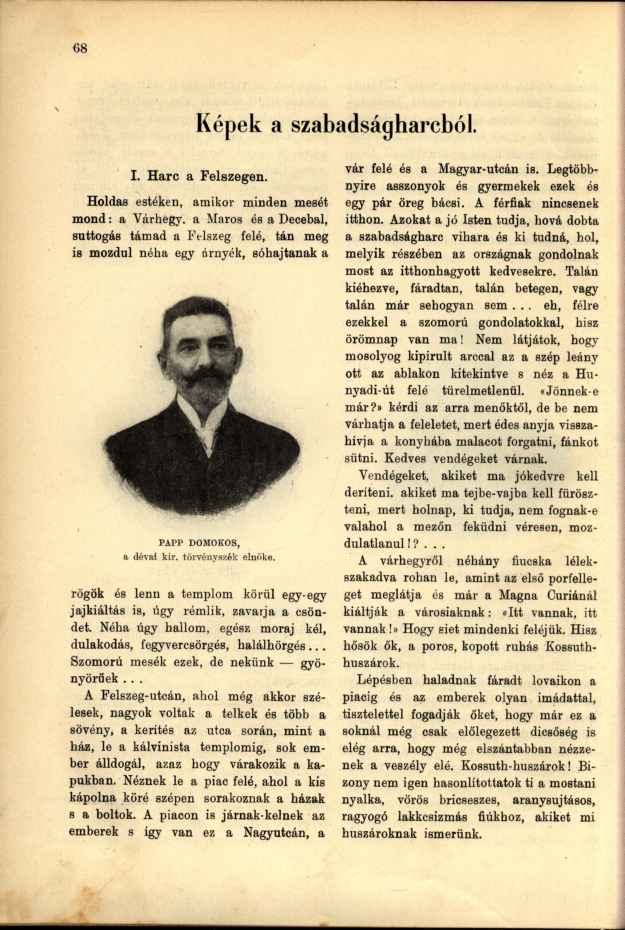 Képek a szabadságharcból. I. Harc a Felszegen.