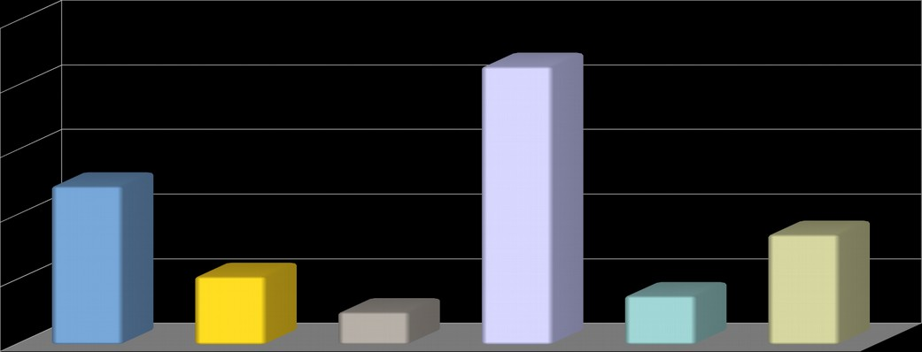 54 más.dipl. 18 nyelv.