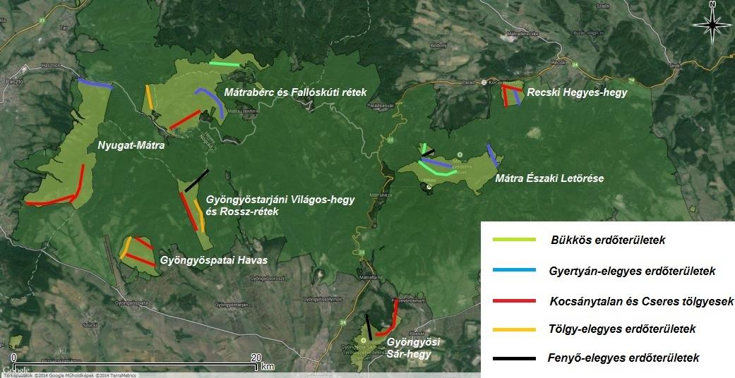 Mátra A magas vadlétszám miatt jelentkező fokozott (egyes térségekben katasztrofális mértékű) taposás, túrás, trágyázás, rágás