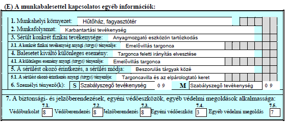 A kockázatértékelés elkészítésére kötelezés. Munkavédelmi bírság kiszabása mindkét cég részére (a MH Kft. felé a szabálytalan emelés megtűrése miatt). 9.