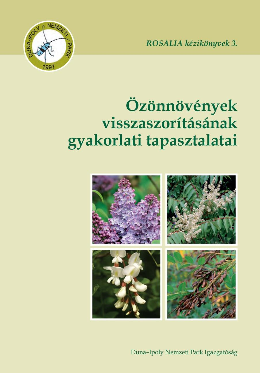 magyar-angol