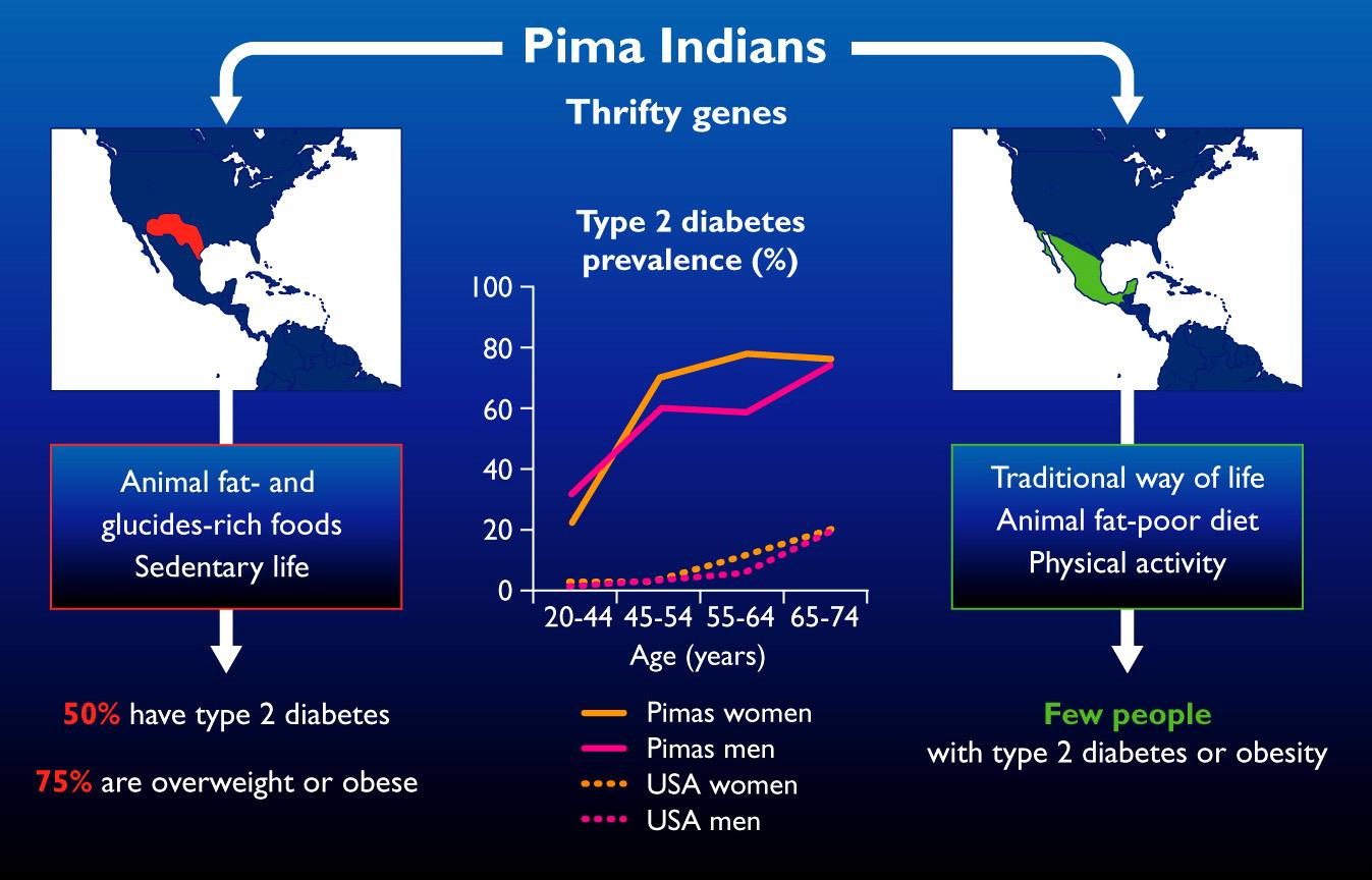 Pima Indians