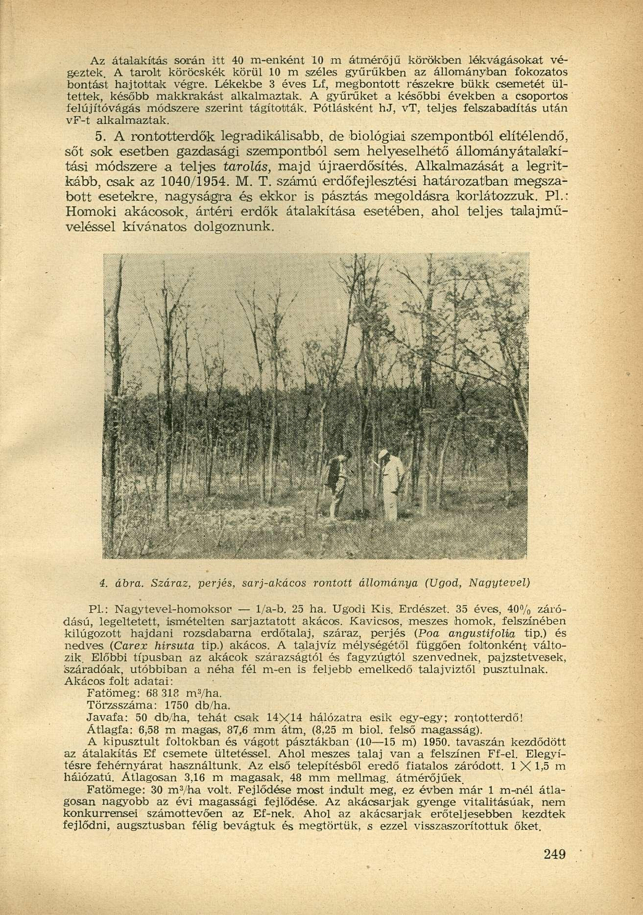 Az átalakítás során itt 40 m-enként 10 m átmérőjű körökben lékvágásokat végeztek. A tarolt köröcskék körül 10 m széles gyűrűkben az állományban fokozatos bontást hajtottak végre.
