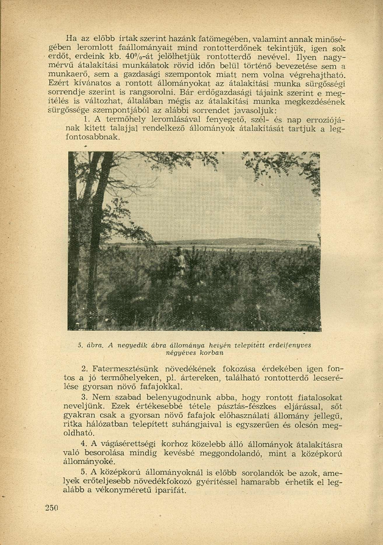 Ha az előbb írtak szerint hazánk fatömegében, valamint annak minőségében leromlott faállományait mind rontótterdőnek tekintjük, igen sok erdőt, erdeink kb. 40%-át jelölhetjük rontotterdő nevével.
