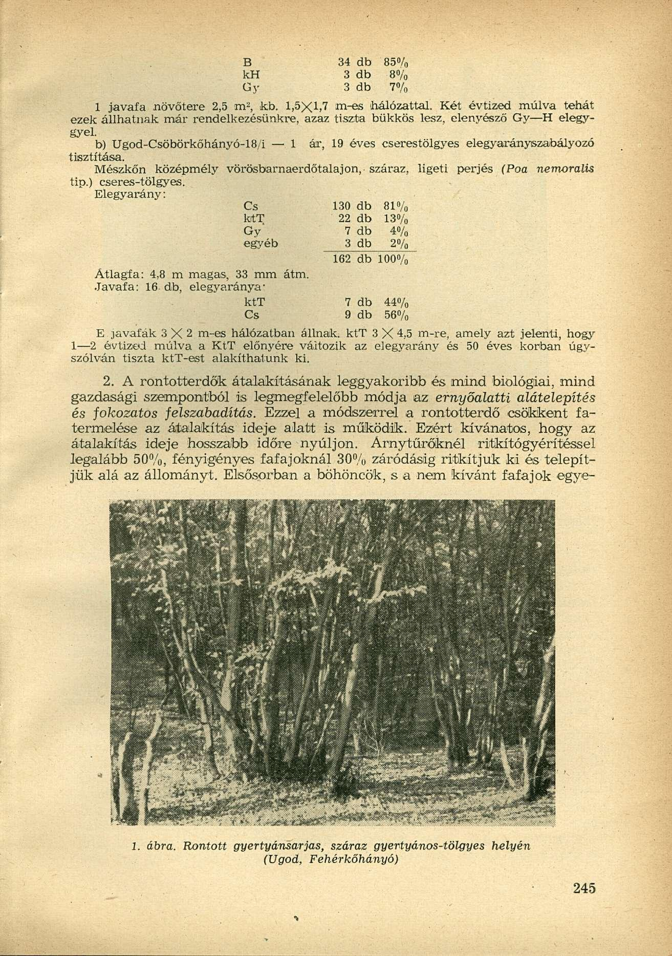 B kh Gy 34 db 85% 3 db 8% 3 db 7% 1 javafa növőtere 2,5 rn 2, kb. 1,5X1,7 rn-es 'hálózattal.