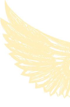Promotional period: 1-28