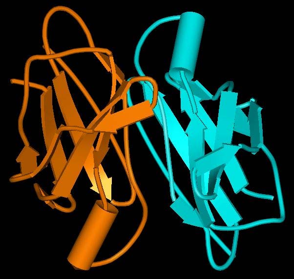 Pl: Hemoglobin tetramer További példa: DUTPáz A