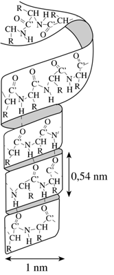 Méretek Stabilizáló hidrogénhidak 12-30 kj/mol