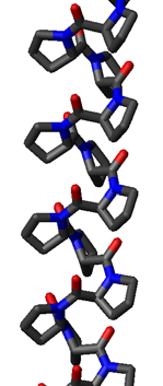 helix cis Polyprolin II helix*** trans *az