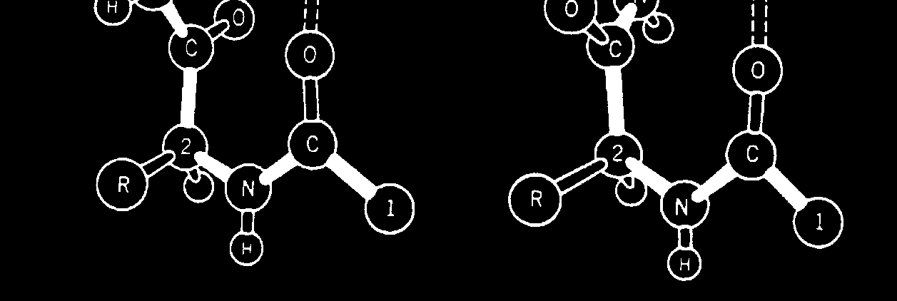 kanyarok (loop)