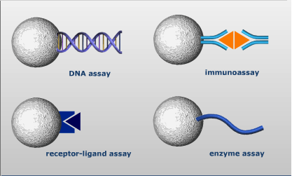 Felhasználási lehetőségek DNS vizsgálat Immun