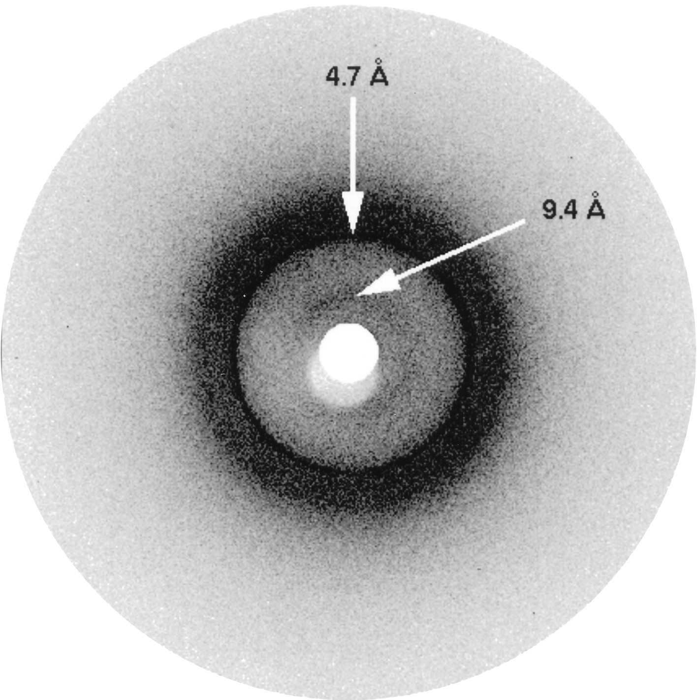 Amiloid szálak kimutatása, elektronmikroszkópia Amiloid szálak kimutatása, kisszögű röntgen szórás foszfatidilinozitol 3-kináz SH3 doménből in vitro növesztett amiloid szálak transzmissziós