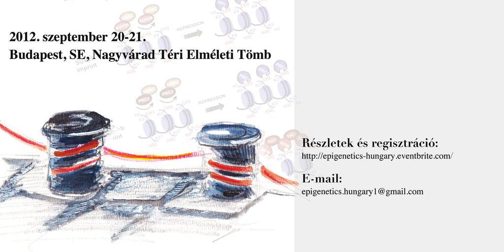 416 LAM-TUDOMÁNY TOVÁBBKÉPZÉS FARMAKOTERÁPIA glycaemic control more effectively than twice daily NPH insulin, with low risk of hypogylcaemia, in patients with type 2 diabetes.