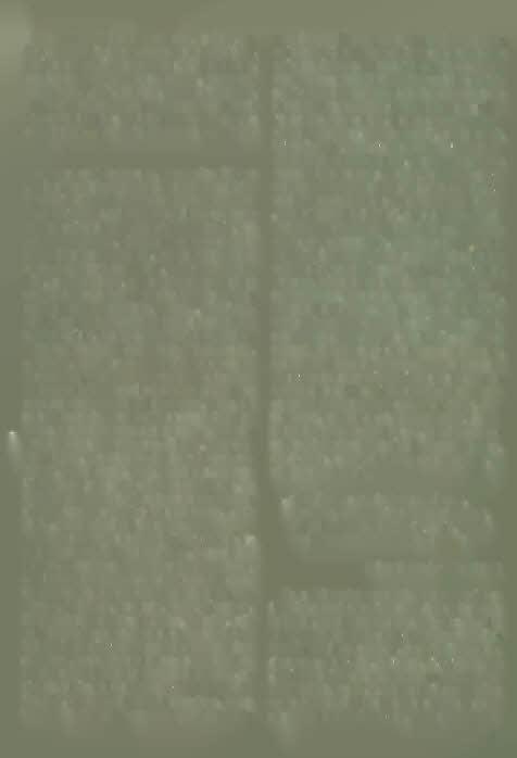 Skorpió férfi randi gemini nő