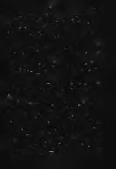 F I G Y E L Ő 157 th em su itable fo r use in d em ograp h y, then, as a first step o f research co-ord in a tion, the startin g o f dem ographic, sociologica l and e con om ic researches on the