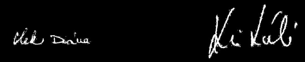 NYILATKOZAT A II.